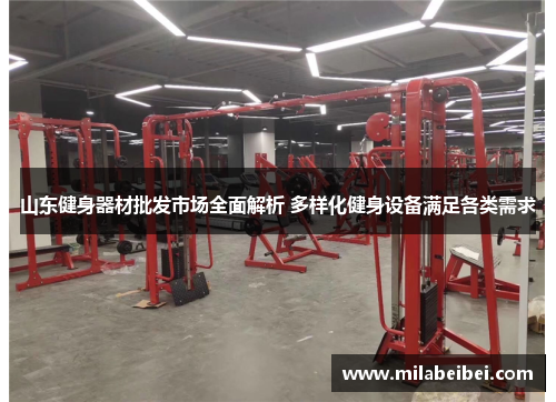 山东健身器材批发市场全面解析 多样化健身设备满足各类需求