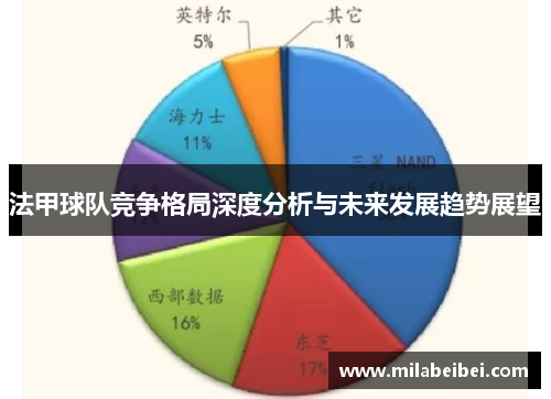 法甲球队竞争格局深度分析与未来发展趋势展望