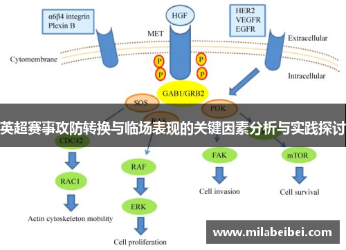 英超赛事攻防转换与临场表现的关键因素分析与实践探讨