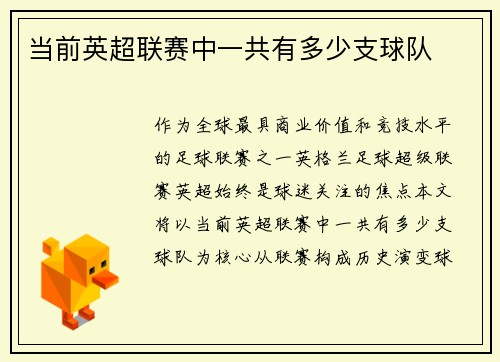 当前英超联赛中一共有多少支球队