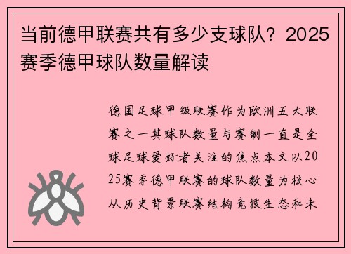 当前德甲联赛共有多少支球队？2025赛季德甲球队数量解读