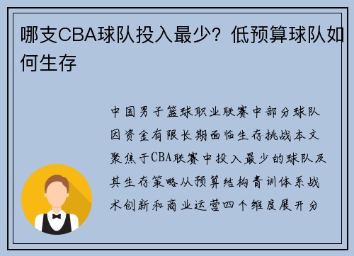 哪支CBA球队投入最少？低预算球队如何生存