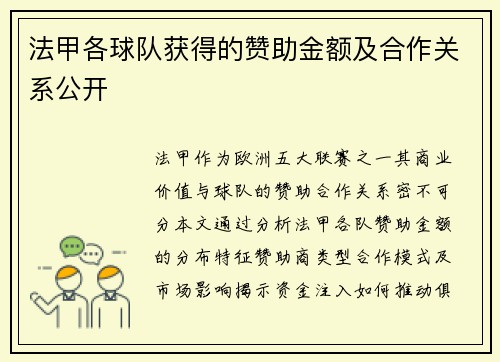 法甲各球队获得的赞助金额及合作关系公开